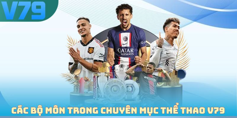 Các bộ môn trong chuyên mục thể thao V79